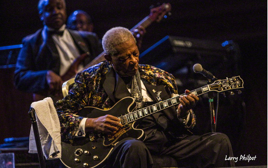 bbking-larryphilpot